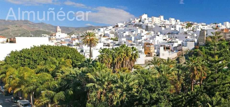 El Rincon De Clara Villa Almuñécar Dış mekan fotoğraf