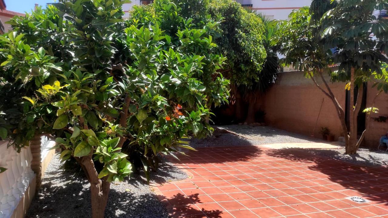 El Rincon De Clara Villa Almuñécar Dış mekan fotoğraf